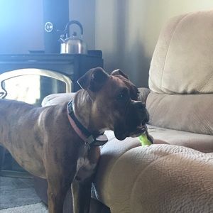 Meet your Posher, Jason